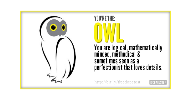 You're the Owl. You are logical, mathematically minded, methodical, and sometimes seen as a perfectionist that loves details.